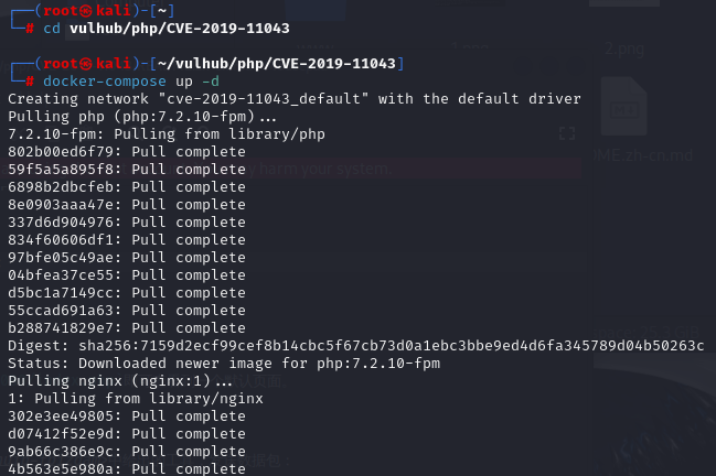 CVE-2019-11043-1